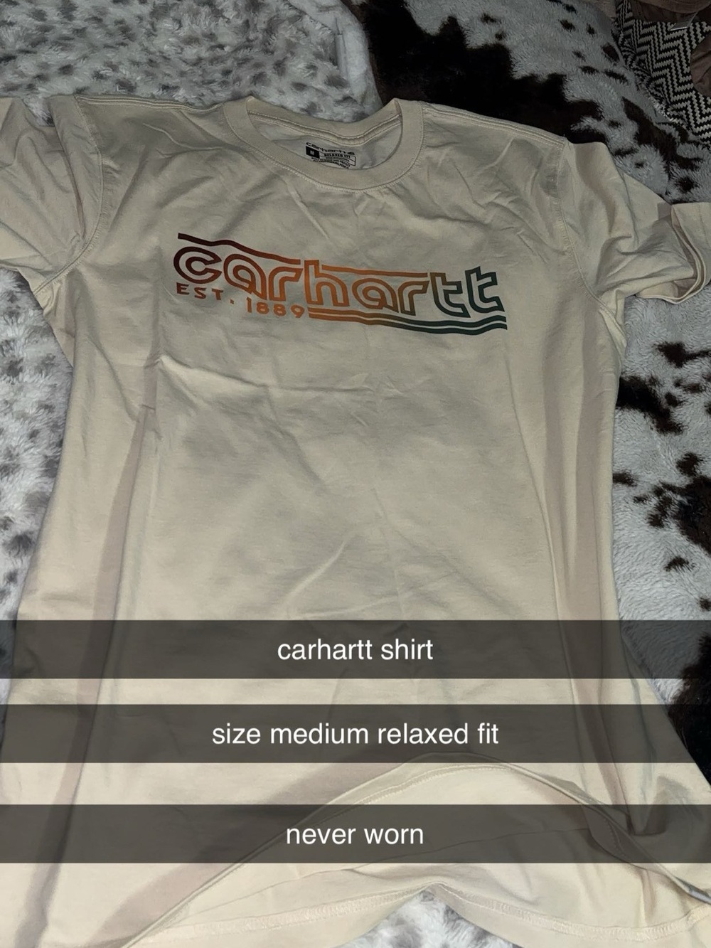 Carhartt Cream Short-Sleeve Tee with Retro Multicolor Logo